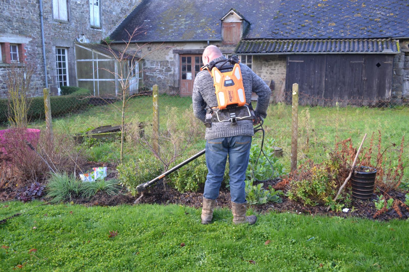 Traitement phytosanitaire - Dakar - SENEGAL