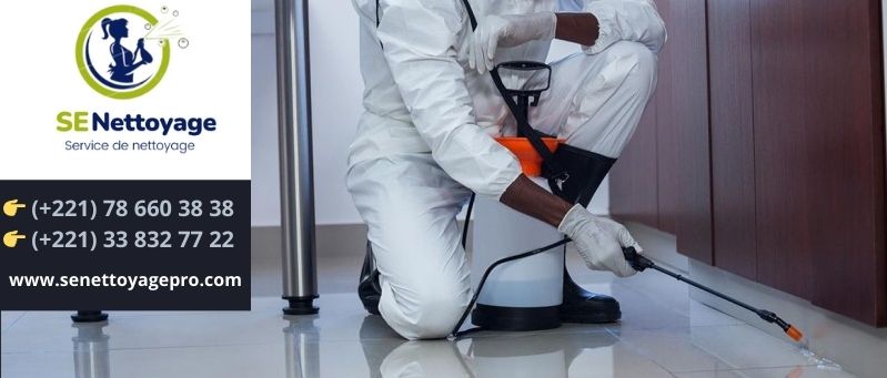 Senettoyage pro - Redonnez vie à vos surfaces avec notre traitement 3D révolutionnaire -Désinsectisation ,Dératisation, Désinfection - dakar - senegal