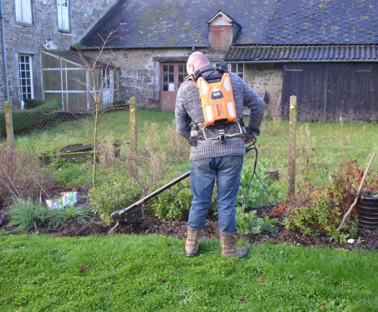 Traitement phytosanitaire - Dakar - SENEGAL
