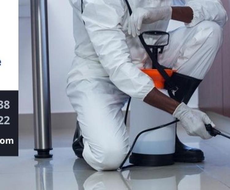 Senettoyage pro - Redonnez vie à vos surfaces avec notre traitement 3D révolutionnaire -Désinsectisation ,Dératisation, Désinfection - dakar - senegal